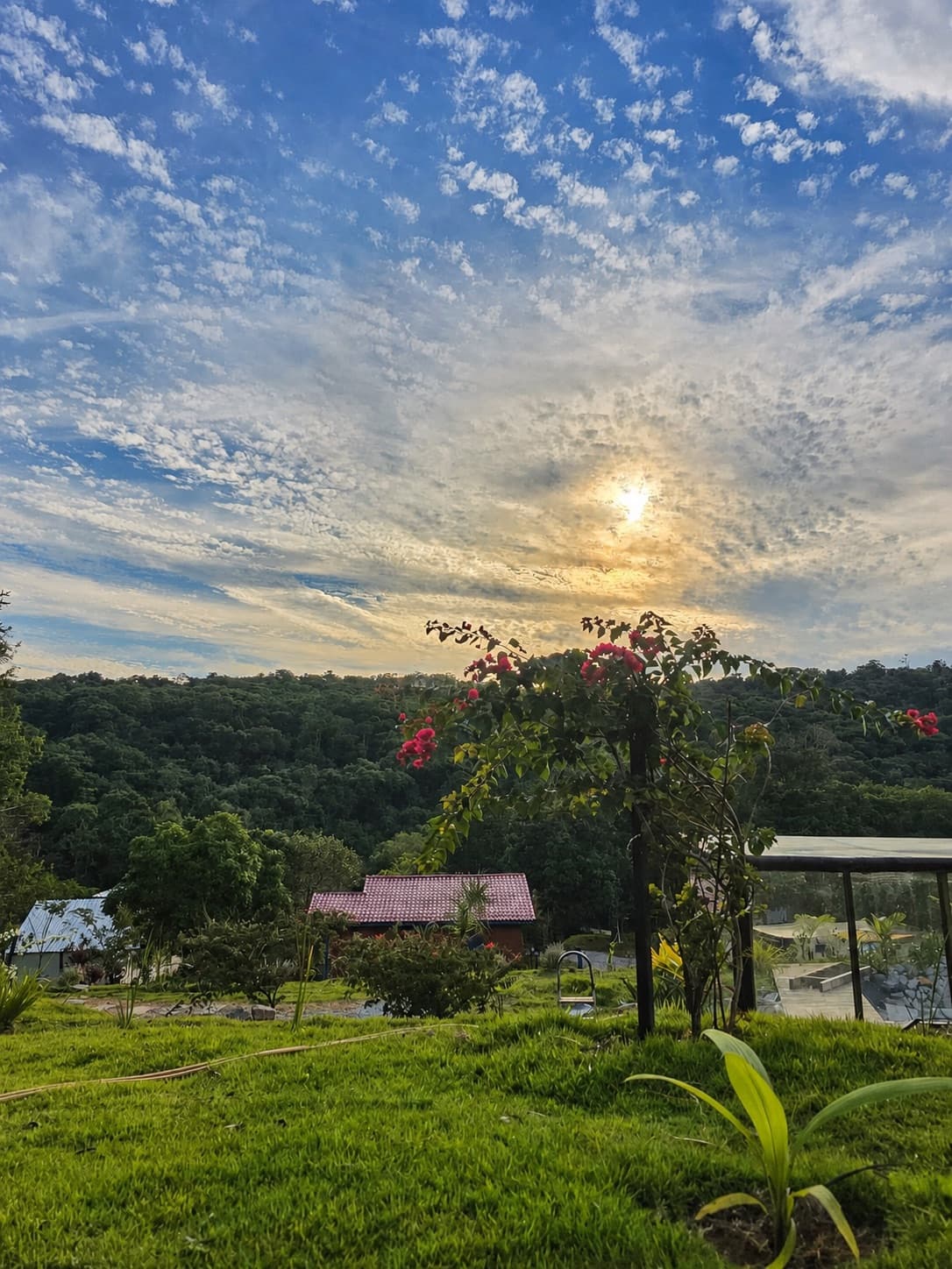 Jardins e chalés vistos do alto ao pôr do sol